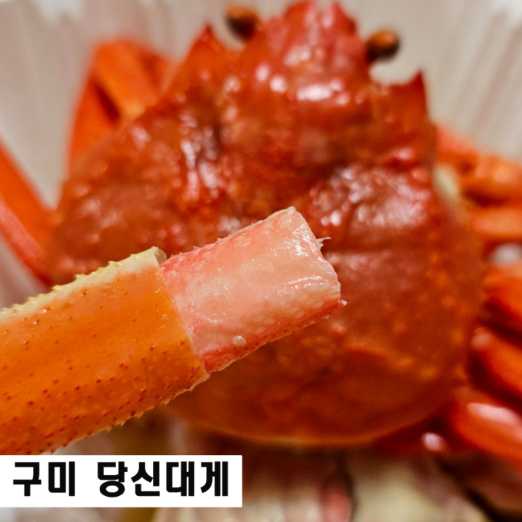  구대 대게 맛집 당신대게 포장 영덕대게 임은동 연말모임