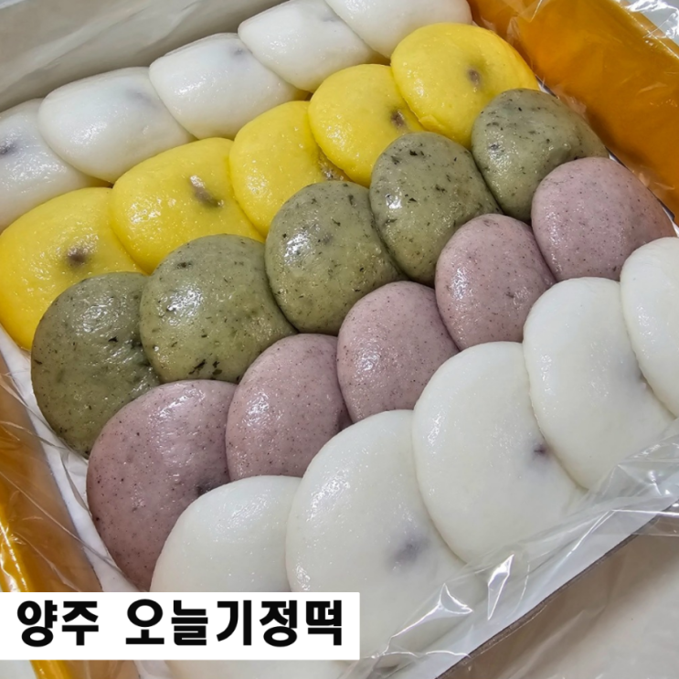  양주 떡집 오늘기정떡 기정떡 맛집 보관방법