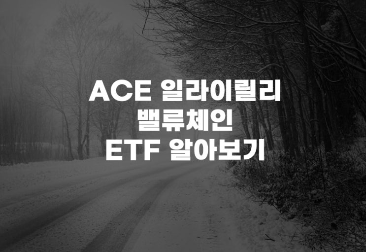  ACE 일라이릴리밸류체인[497520] ETF 분석 주가 주식 헬스케어 제약 바이오 비만치료제