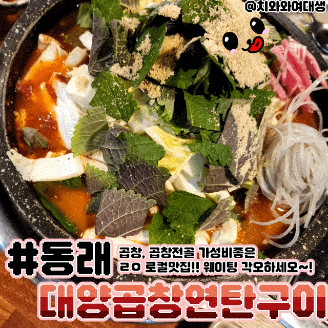  동래곱창 원조맛집 대양곱창연탄구이 재방문 술집