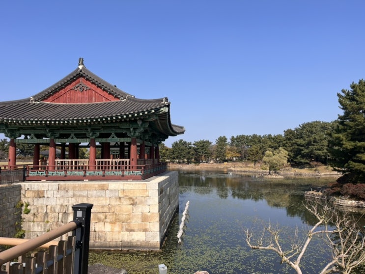  경주여행 "동궁과월지" 경주대표적 야경명소로 낮에 방문해봤어요