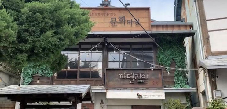 2020 포항 여행: 동백꽃 촬영지부터 호미곶, 유채꽃 대평원까지 감성 가득한 하루 