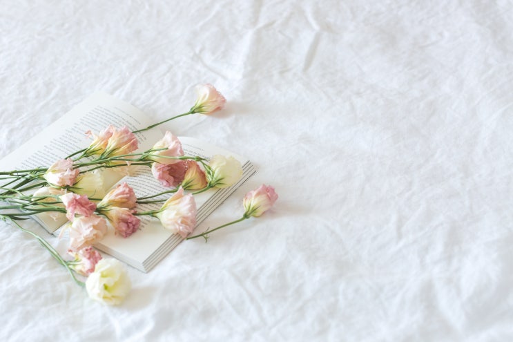  결혼 준비 시작 - 웨딩홀 알아보기 전 정해야 체크리스트