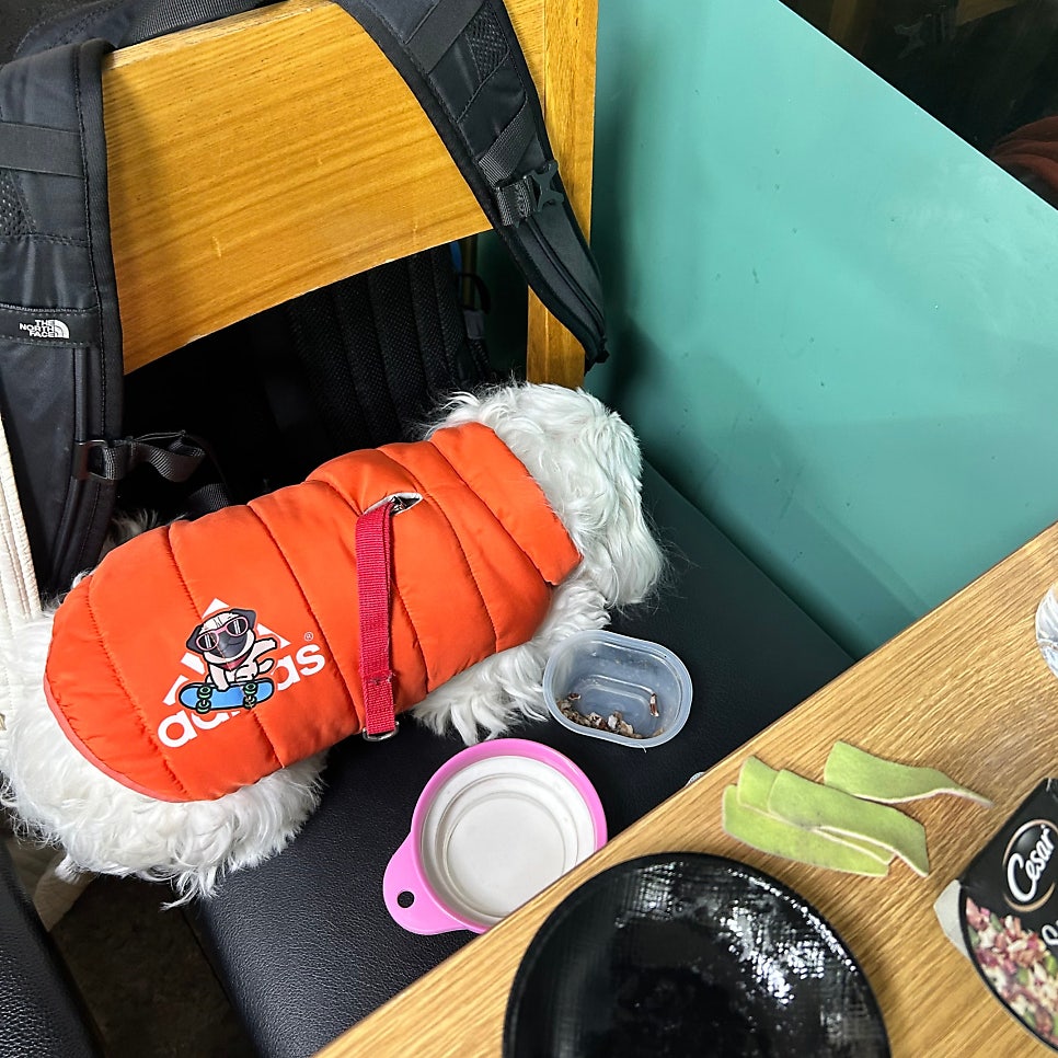 cafe tsoat 사진 3