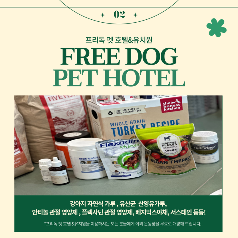 사진 2