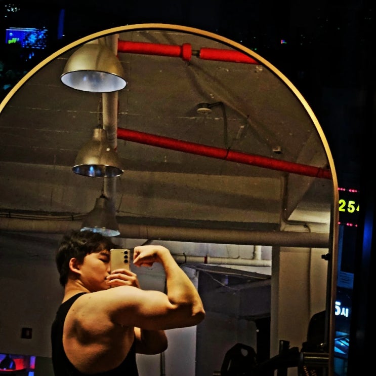 머슬핏 상체 티셔츠 팔뚝 250107 이두 삼두 팔 운동 머슬핏 상체 티셔츠 팔뚝 250107 이두 삼두 팔 운동