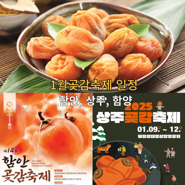  함양곶감축제 함안곶감축제 상주곶감축제일정 가수 출연진
