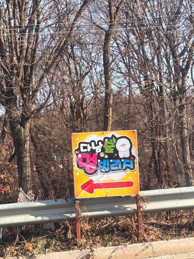 다남숲멍빌리지