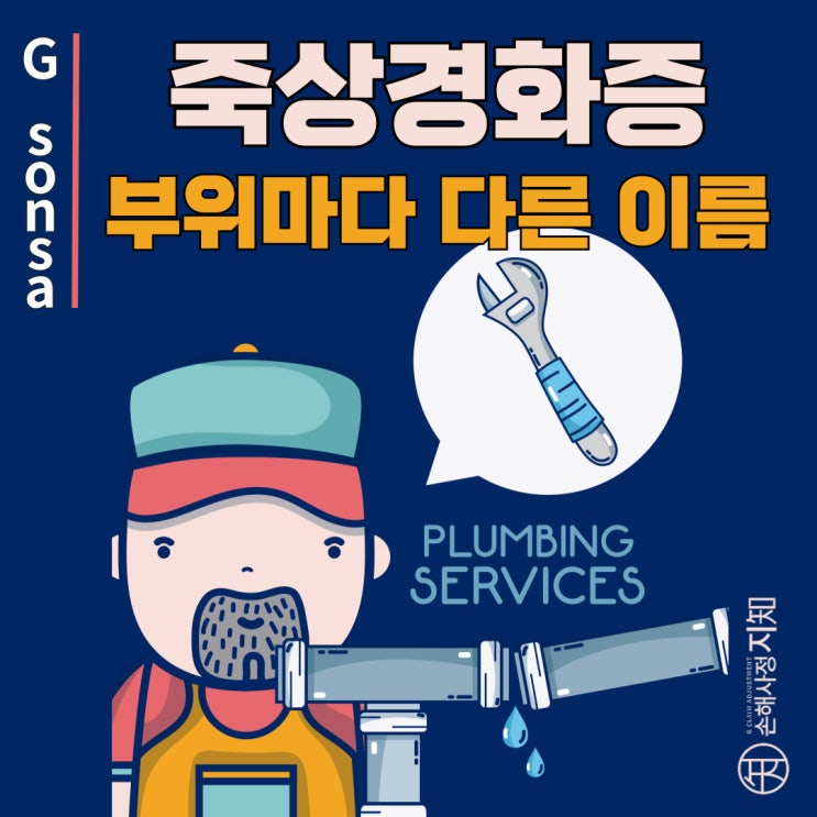  죽상경화증, 부위마다 달라지는 이름과 보험 청구 꿀팁 - [혈관 건강 이야기, 3부]