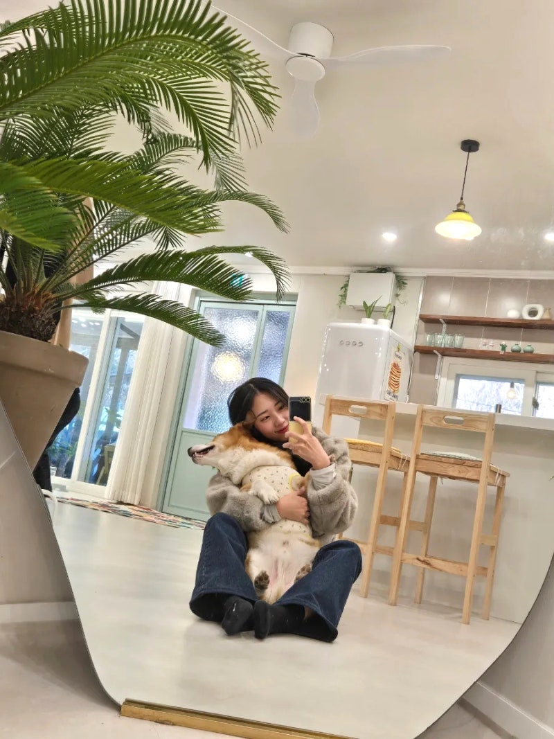 사진 2
