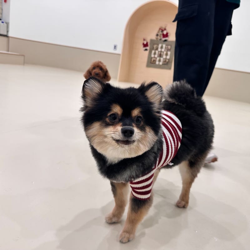 사진 7