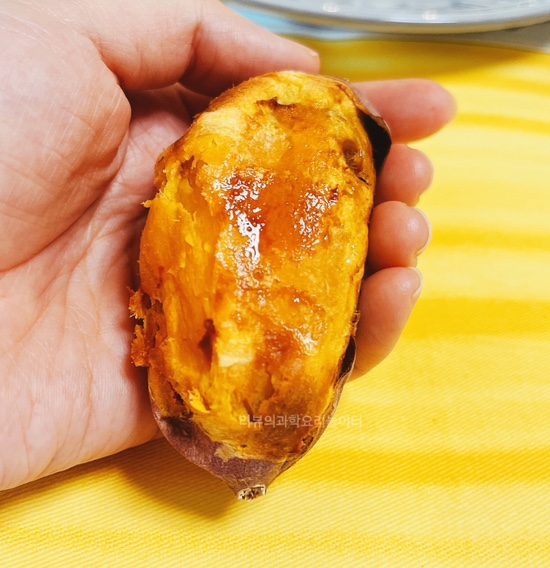  과학적으로 고구마 당도 높이는 비법 에어프라이기 고구마 맛있게 굽기 에프 꿀 고구마 시간 레시피