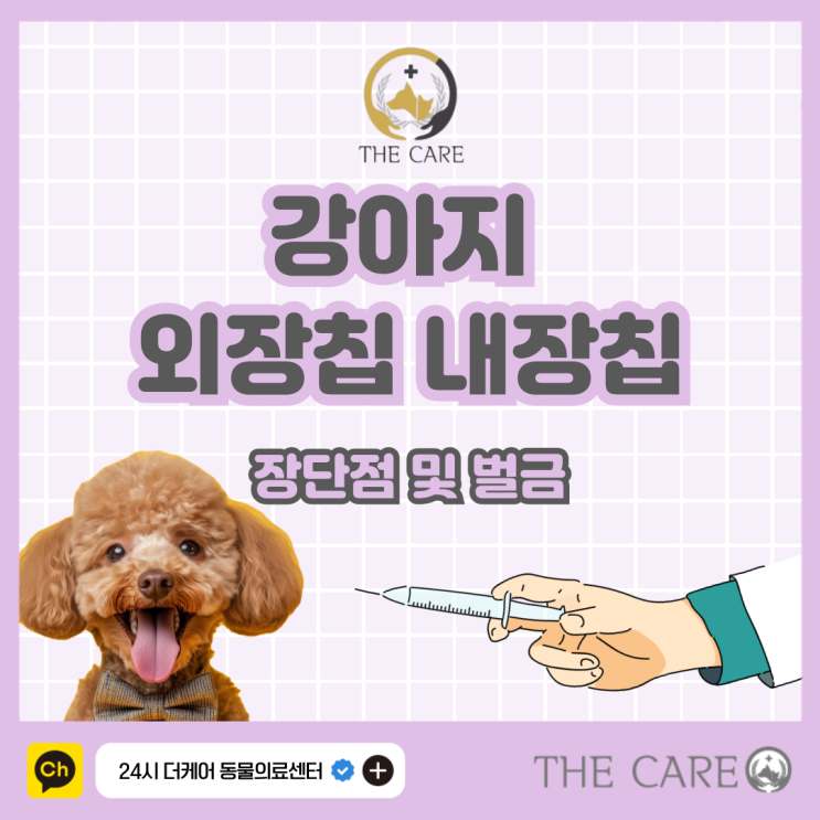  강아지 외장칩 내장칩 장단점 및 벌금