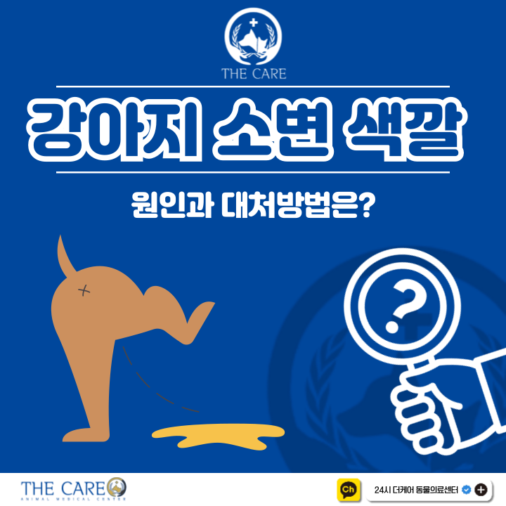  강아지 소변 색깔 원인과 대처방법