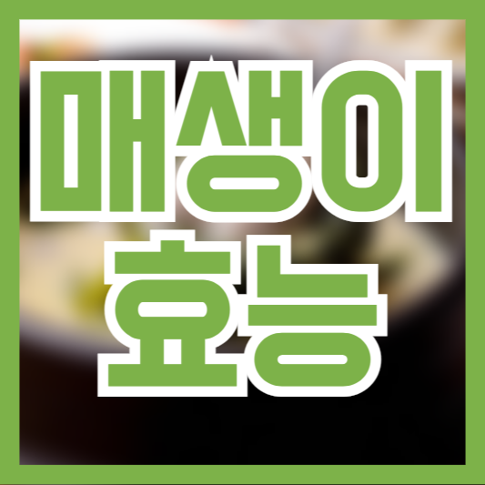  매생이 효능 6가지! 이런 영양까지 있을줄이야!?
