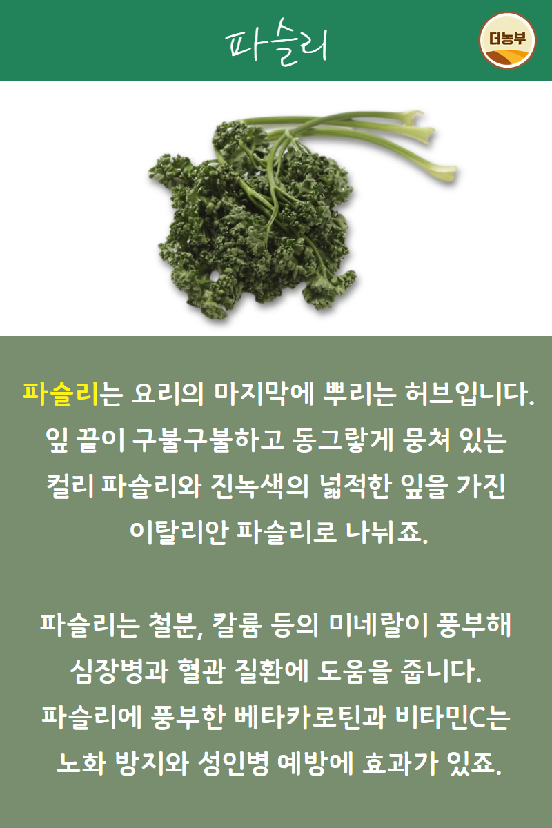 파슬리부터 바질까지, 허브의 세계 : 네이버 블로그, image size:800x1200