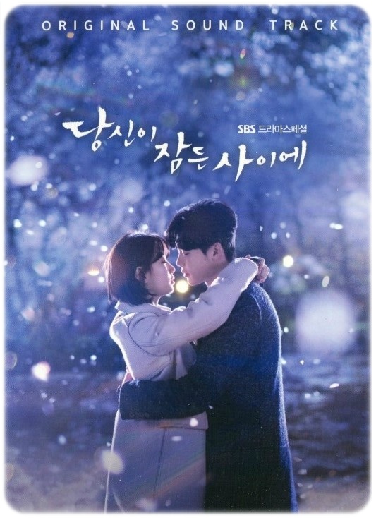  [국내 드라마 다시 보기 추천] 당신이 잠든 사이에