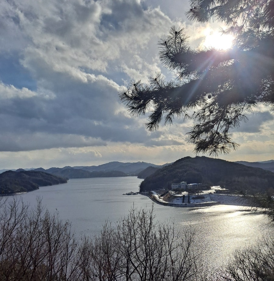 조마루감자탕 신탄점 사진 5