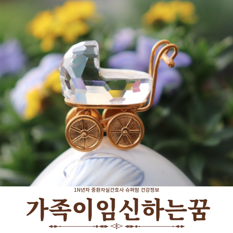 가족이임신하는꿈 무슨 의미일까 해몽