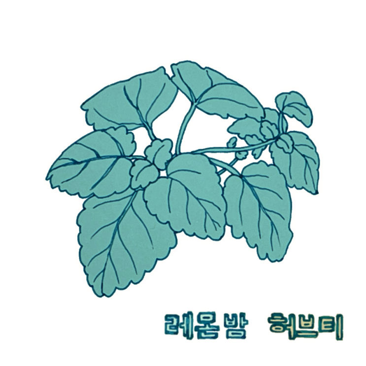  집에서 키운 허브로 레몬밤 차 한 잔