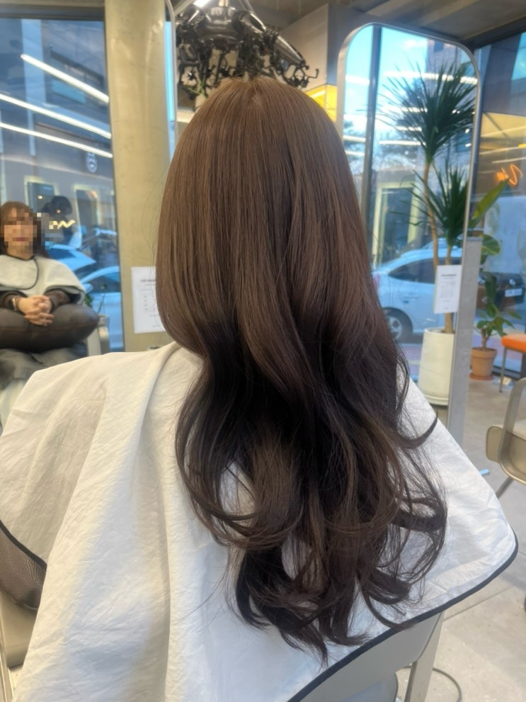  유피 살롱 민수 원장님 시세이도 프리미엄 염색 다녀왔어요 ️
