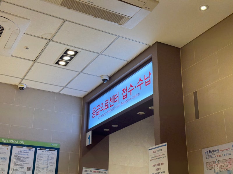 아기 폐렴, 통원치료 후기, 초기증상, 열, 전염, 응급실 독감검사