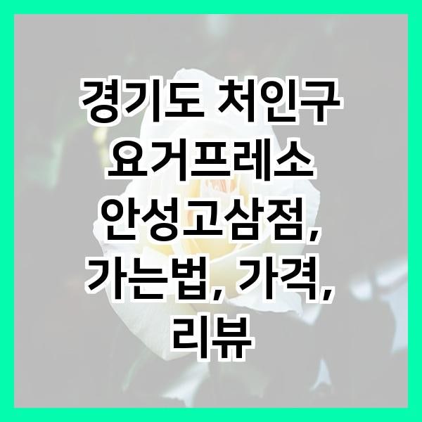 요거프레소 안성고삼점 사진 1