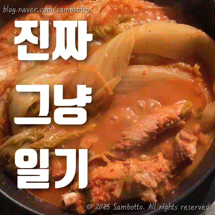  진짜 그냥 일기 | 업무 다이어리 정리 | 간단한 점심 | 김치등갈비찜 실패없는 레시피로 만들어먹기 | GS25 대존맛 상큼한 아이스크림 리얼프라이스 800 오렌지쭈쭈바