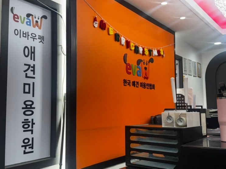  잠실 애견미용학원 비용 장학지원 국비지원 비교
