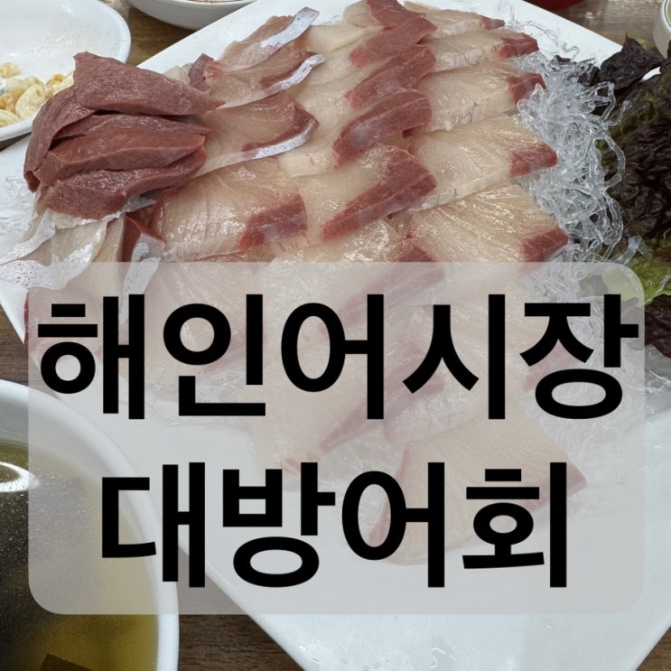 신림동 신림역 신림 횟집 대방어 회 방어회 맛집 해인어시장 신림본점 후기