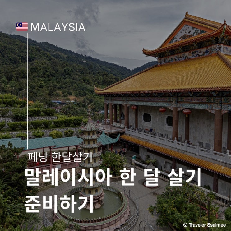  파이어 후 첫 한 달 살기 준비하기 말레이시아 페낭 필터 음식 약 등