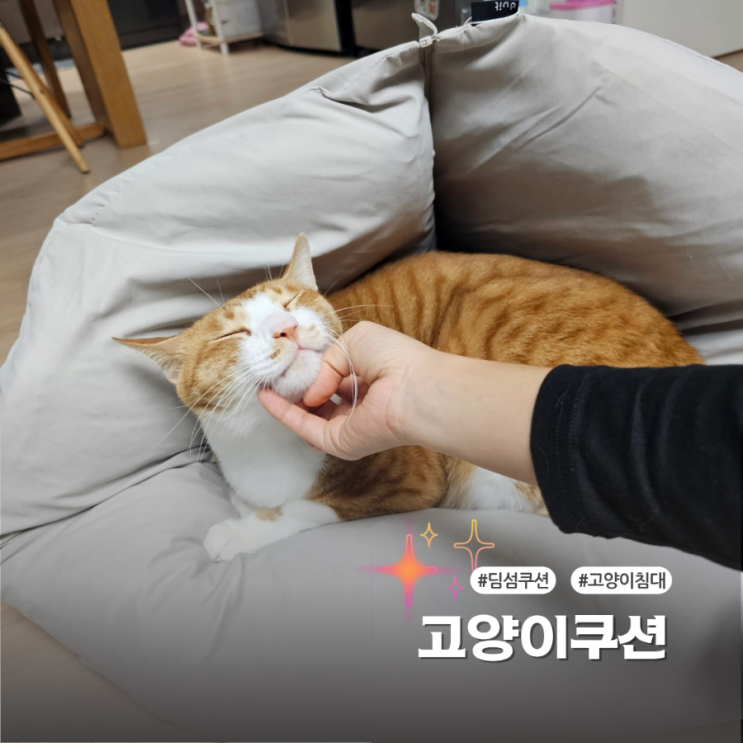  폭신한 고양이쿠션 두잇 딤섬쿠션 냥이들이 좋아해요