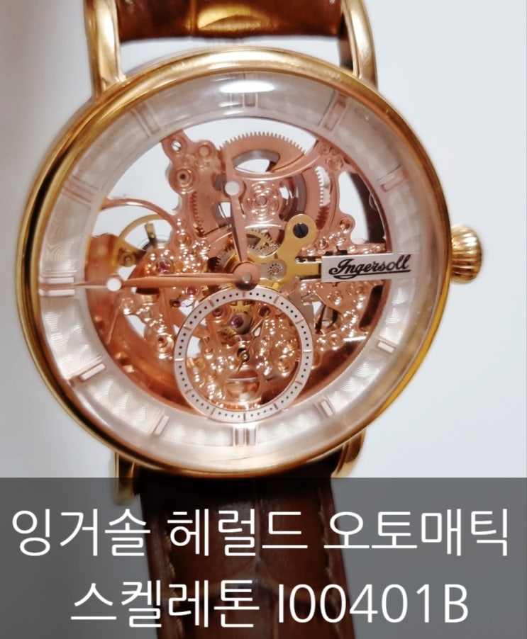  내돈내산 잉거솔 헤럴드 오토매틱 스켈레톤 I00401B.남자 가죽 손목시계 선물 추천(기계식 시계)