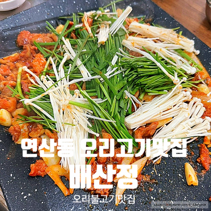  연산동 오리고기 '배산정' 오리불고기 로컬 맛집 후기