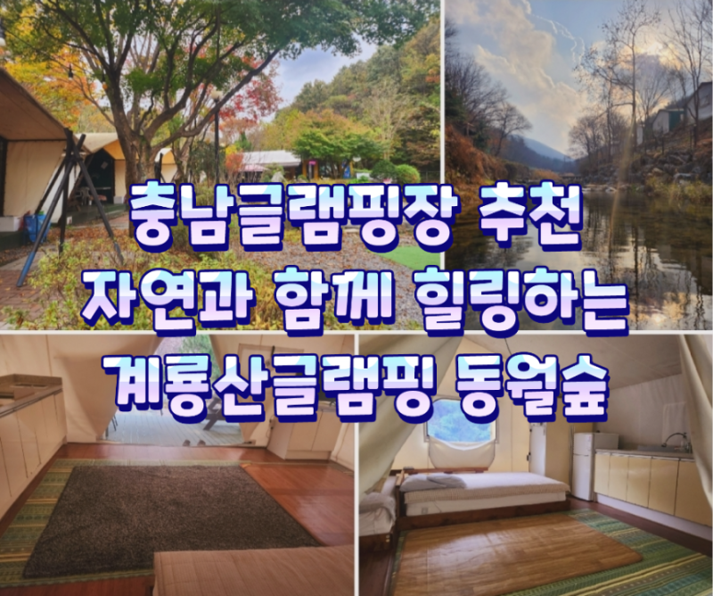 계룡산글램핑 동월숲