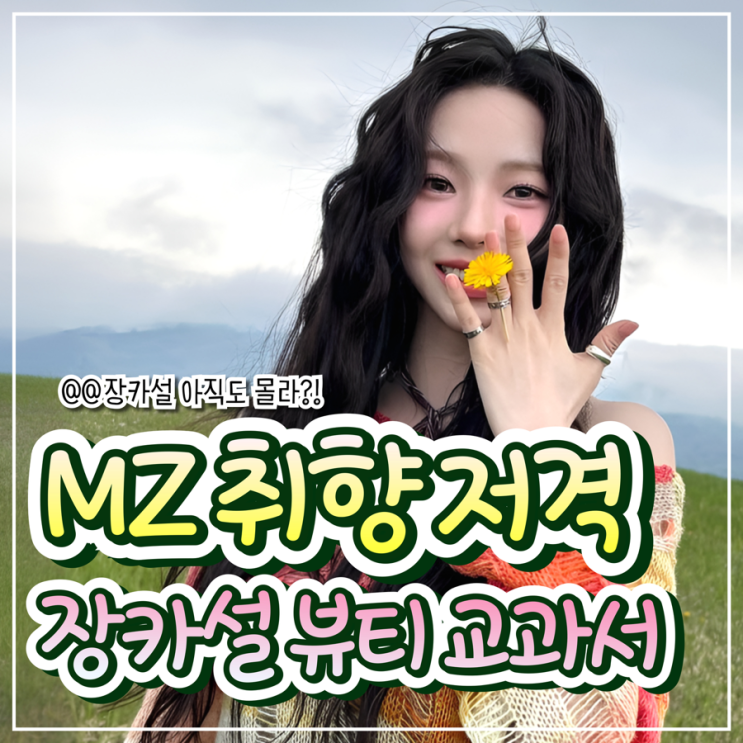  MZ의 워너비, 장카설 MOTD 따라잡기