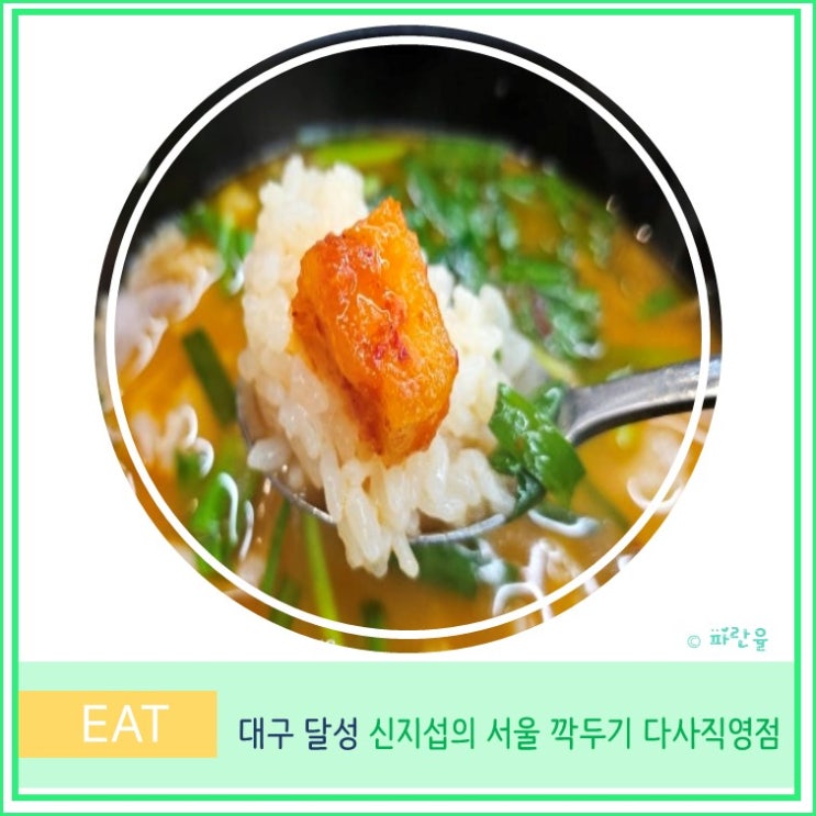 대구 국밥 맛집 다사 신지섭의 서울 깍두기