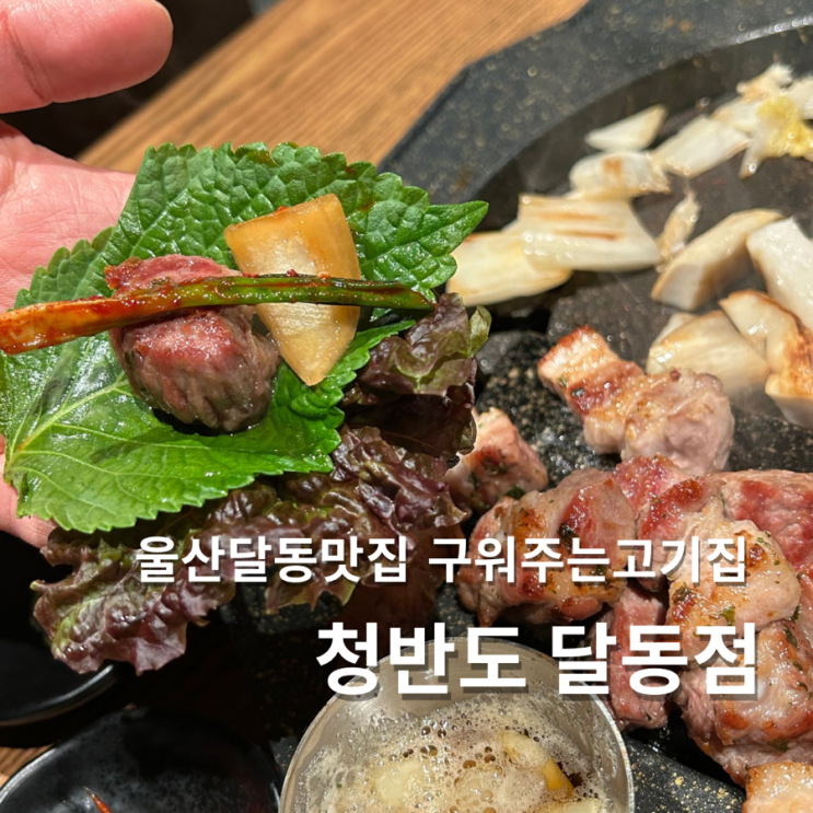  울산 달동 맛집 청반도 구워주는 고기집 추천