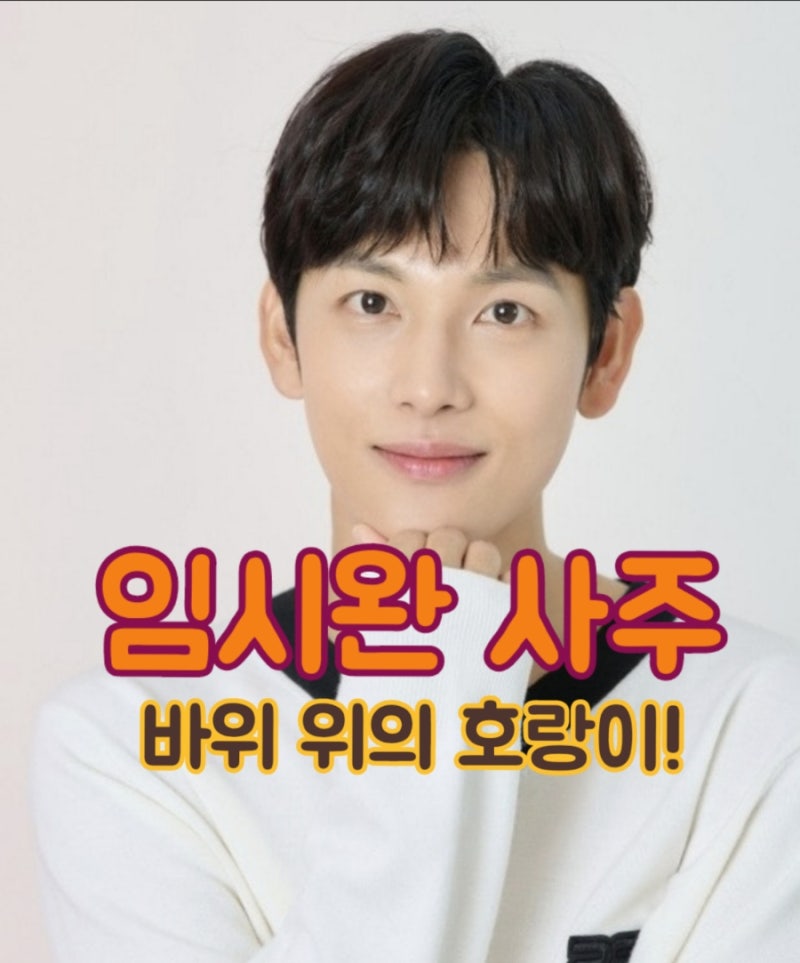 임시완 사주 - 인묘진방합(寅卯辰方合)과 인해합목(寅亥合木)으로 커지는 재성의 힘!