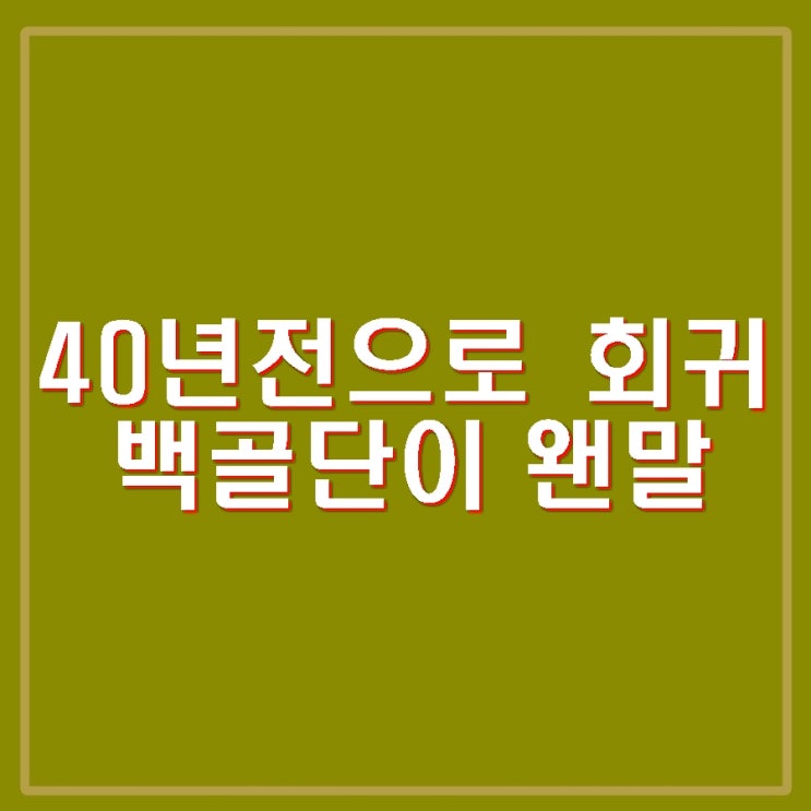 <b>김민전</b> <b>백골단</b> 반공청년단과 기자회견. 이준석, 전용기 등 야당... 