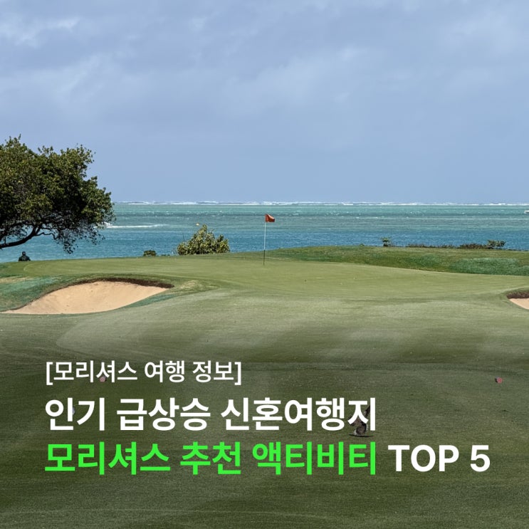  인기 급상승 신혼여행지, 아프리카 모리셔스 추천 액티비티 TOP 5! (feat. 아모트래블 / 돌핀 스윔, 카타마란, 고래 투어 등)