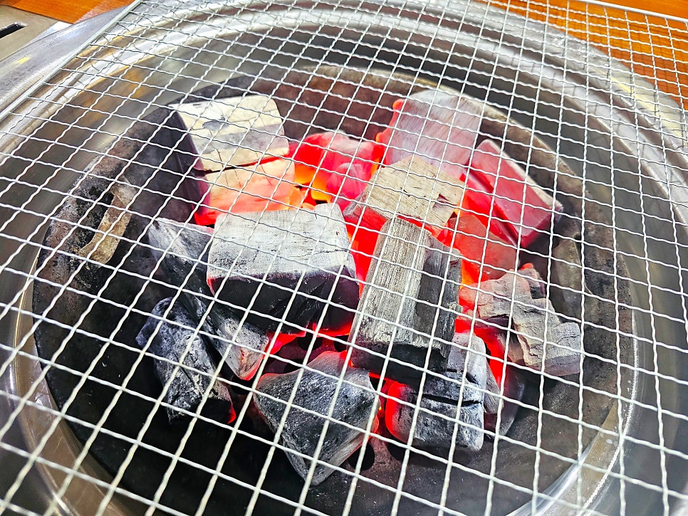춘세흑돼지 사진 8