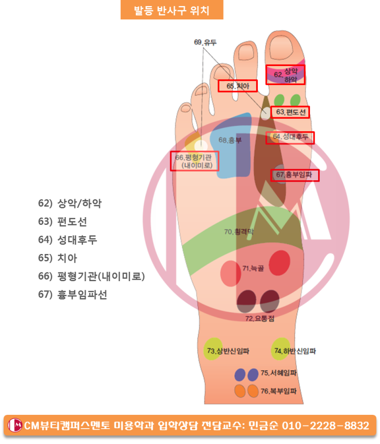  피부미용학에서 배우는 발마사지 발등반사요법 실기 방법