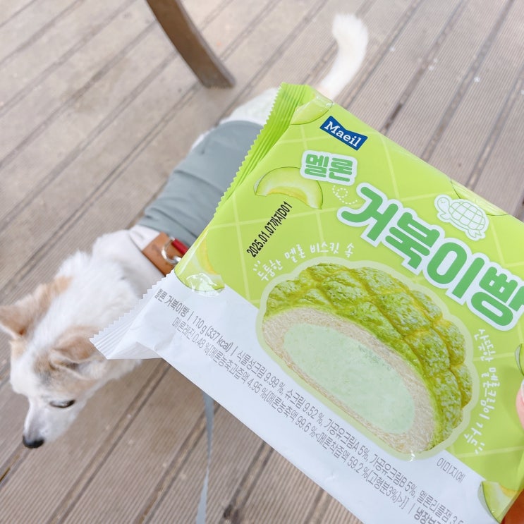  CU 편의점 디저트 멜론크림 거북이 빵 가격및크림양 솔직후기