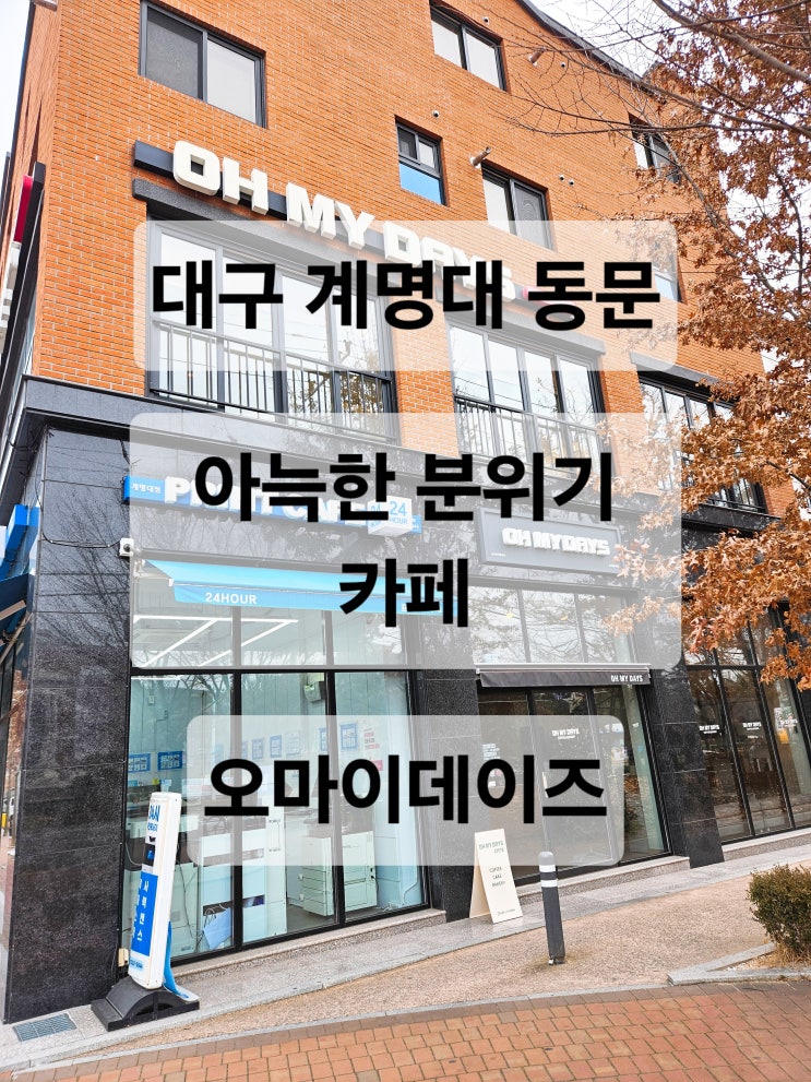  대구 계명대 동문 아늑하고 조용한 분위기의 카공하기 좋은 카페  오마이데이즈