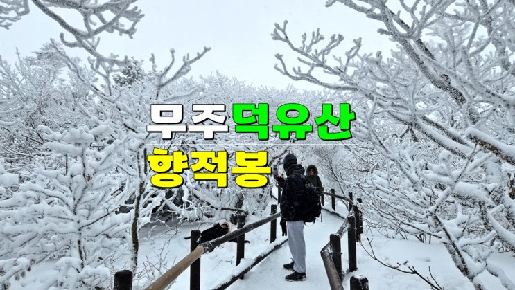 전라도 눈꽃트레킹 · 무주 덕유산 향적봉 날씨 (설천봉 실시간 cctv 곤도라예약 등산코스) 전라도 눈꽃트레킹 · 무주 덕유산 향적봉 날씨 (설천봉 실시간 cctv 곤도라예약 등산코스)