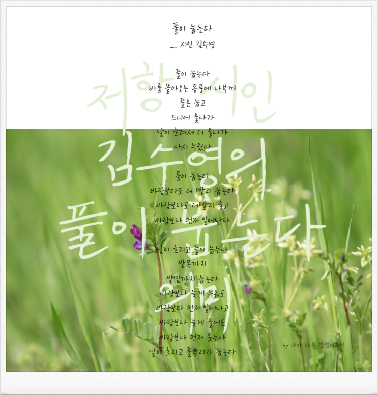  풀이 눕는다 김수영 저항 시인을 사람들이 찾는 이유