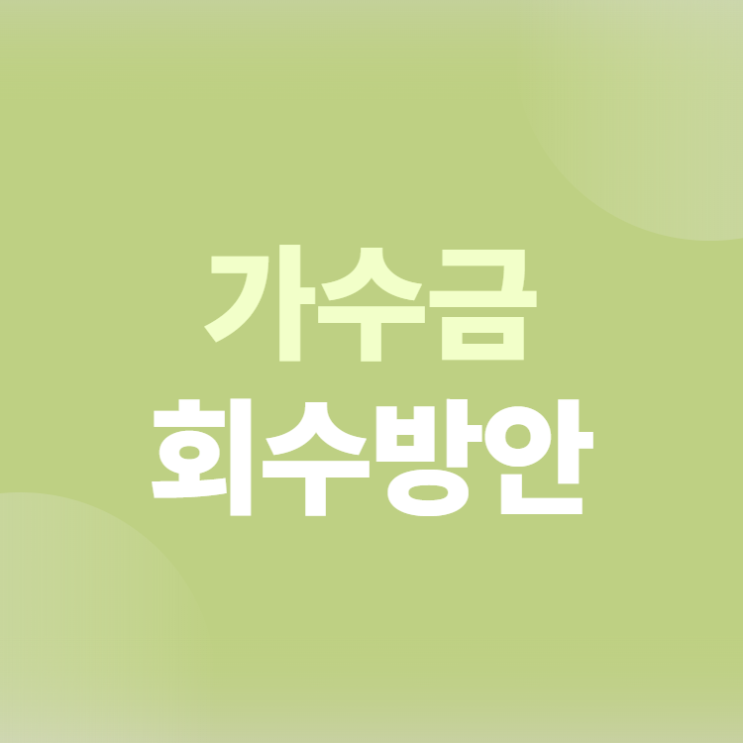 <b>대표이사</b> 가수금 법인 상환방법 절차 알아보기