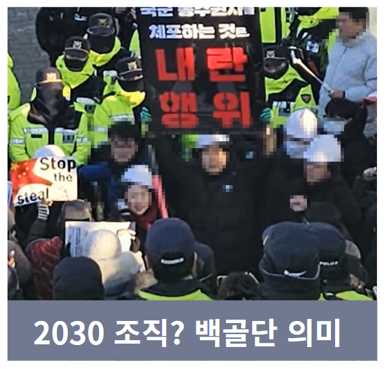 <b>백골단</b> 의미 뜻 역사! 2030 조직 등장 <b>논란</b> (+<b>김민전</b> 의원 회견)