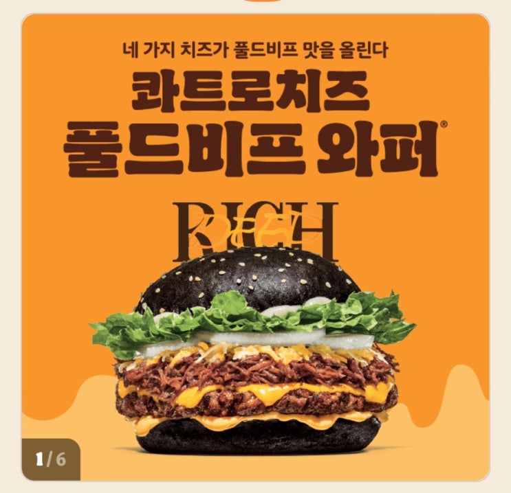  버거킹 신메뉴 콰트로치즈 풀드비프 와퍼 가격, 칼로리 정보 알아보기